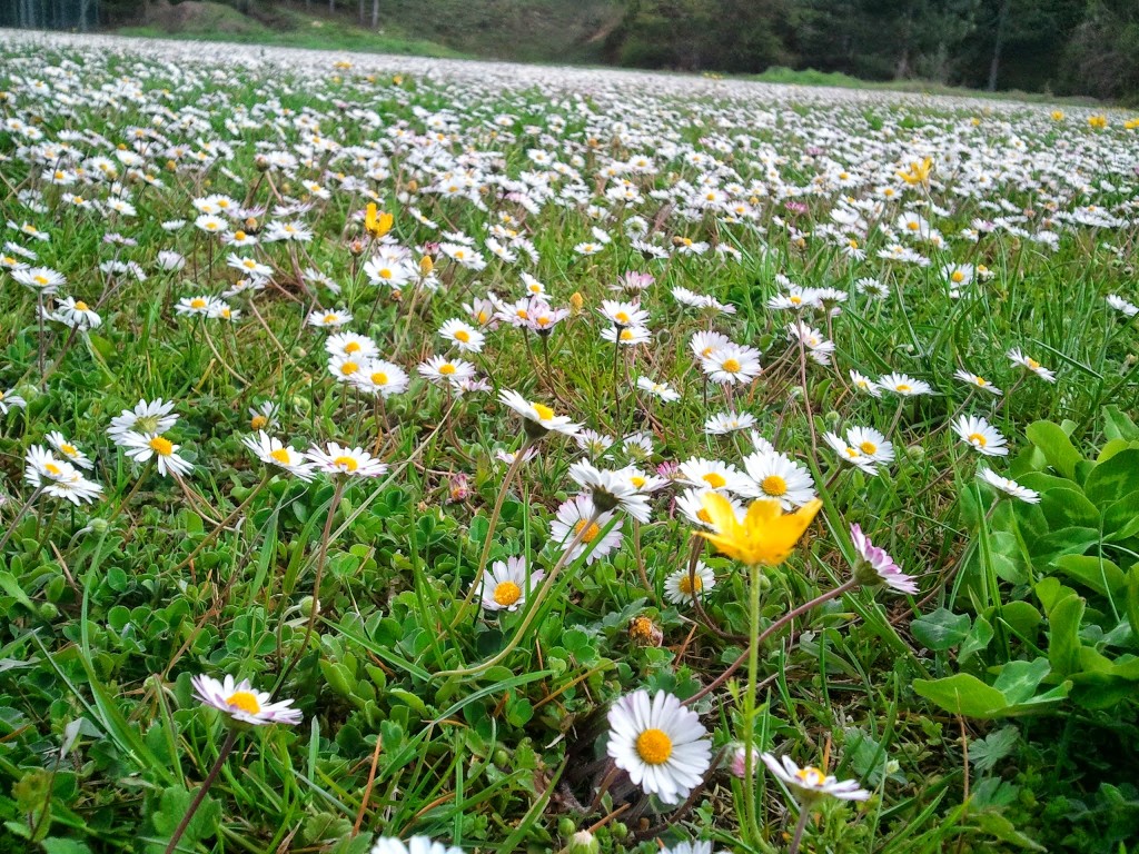 I mille colori della montagna