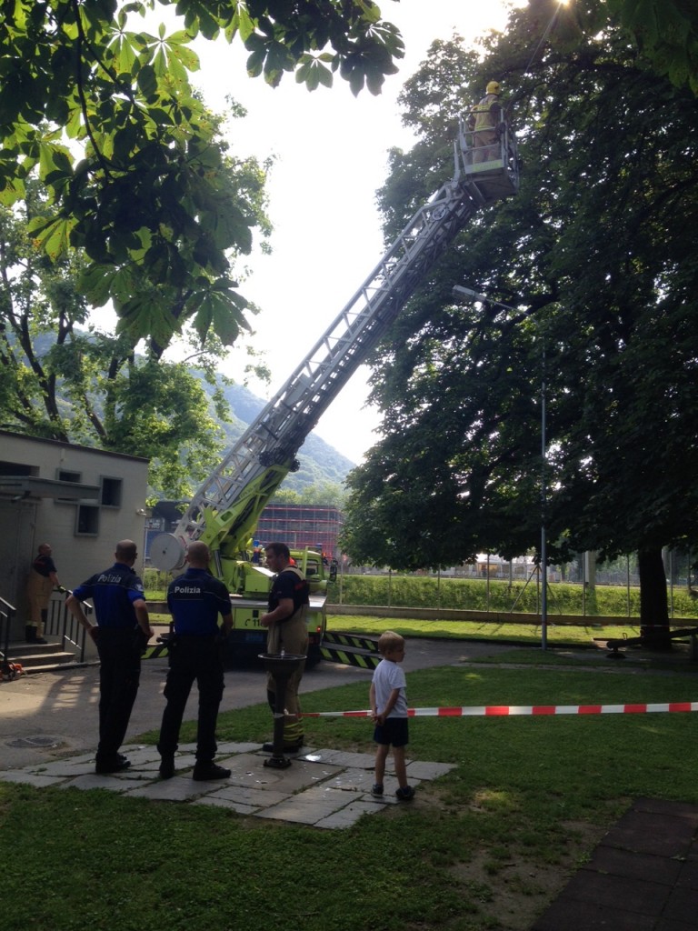 Chiasso, l'azione dei vigili del fuoco per tagliare un ramo pericolante