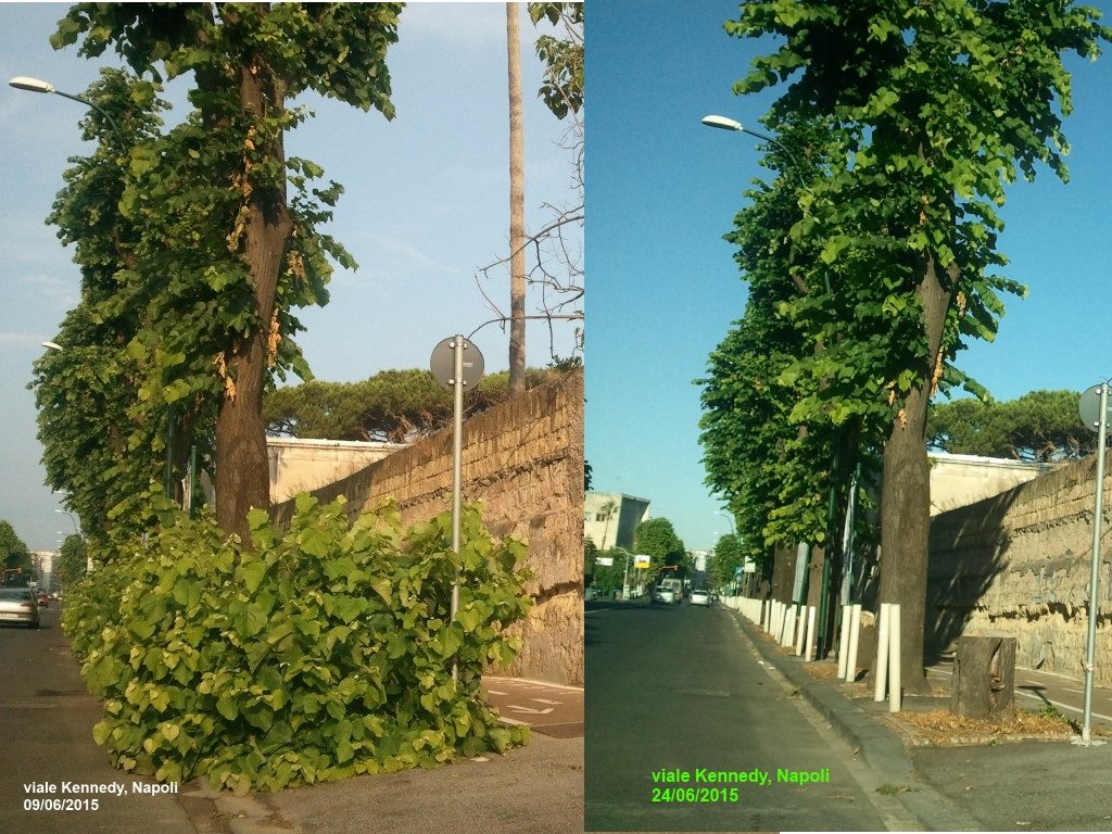 viale Kennedy prima e dopo il nostro post denuncia