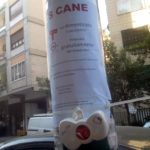 Escrementi di cane per strada: risolvere con i dispenser fai da te (gratuiti)