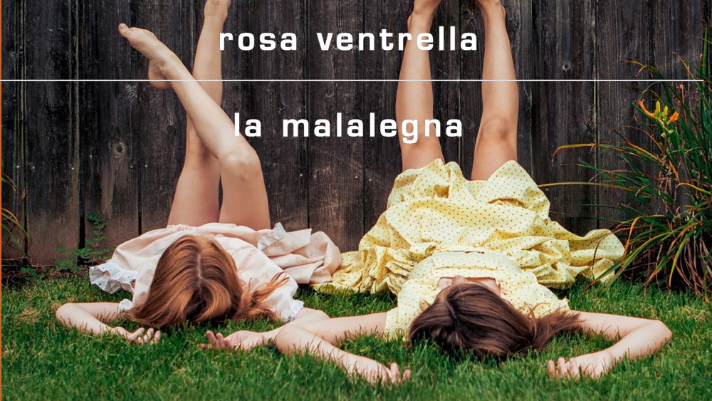 La malalegna, di Rosa Ventrella: la mia recensione