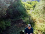 Monte Nuovo, il cratere ripreso dal drone [VIDEO]