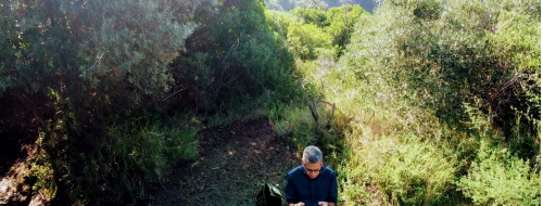 Monte Nuovo, il cratere ripreso dal drone [VIDEO]