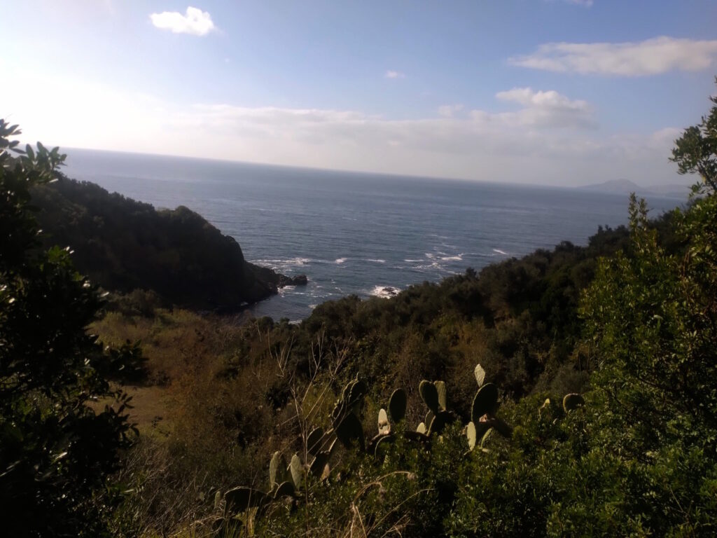 Porto Paone, il magnifico cratere nascosto di Nisida 