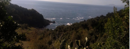 Porto Paone, il magnifico cratere nascosto di Nisida [FOTO]