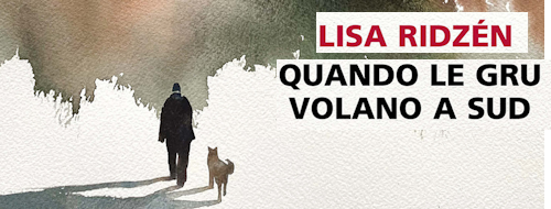 «Quando le gru volano a sud»: un romanzo (delicato) sul fine vita