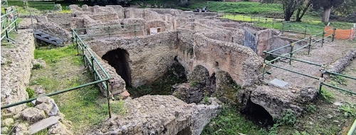 Le terme romane di via Terracina (e i bellissimi mosaici marini) [FOTO]